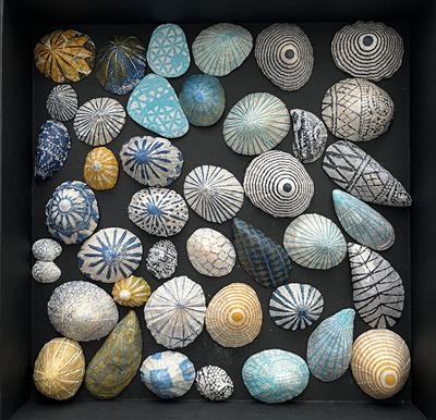 Shoreline Treasures
