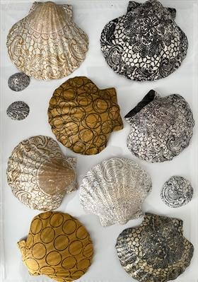 Seashore Vessels