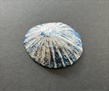 Seashore Vessel by Juliet Middleton-Batts, Artist Print