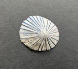Seashore Vessel by Juliet Middleton-Batts, Artist Print