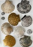 Seashore Vessels by Juliet Middleton-Batts, Artist Print