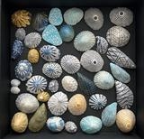 Shoreline Treasures by Juliet Middleton-Batts, Artist Print