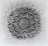 Textiles #4 by Juliet Middleton-Batts, Artist Print, Emboss+Graphite